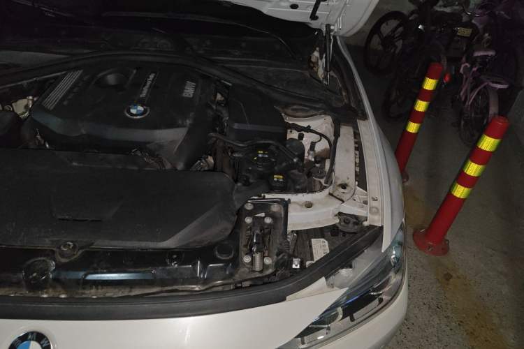 Used BMW 3 Series 2019 320Li Fashion Model Engine Bay Left