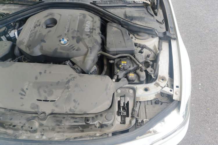 Used BMW 3 Series 2019 320Li M Luxury Package Engine Bay Left