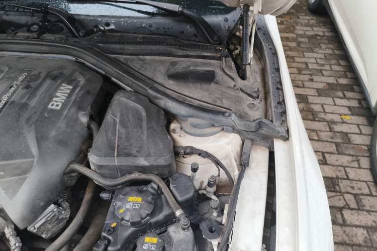 Used BMW 3 Series 2019 320Li M Sport Package Engine Bay Left