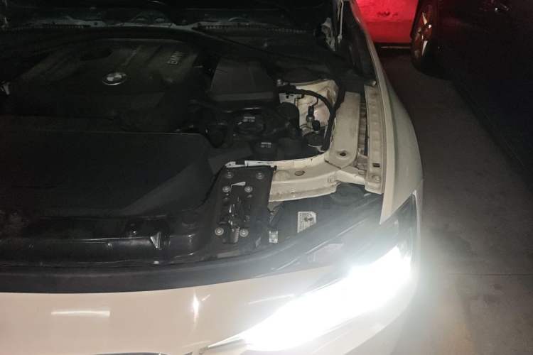 Used BMW 3 Series 2019 320Li M Sport Package Engine Bay Left