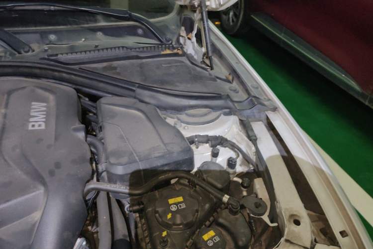 Used BMW 3 Series 2019 320Li Fashion Model Engine Bay Left