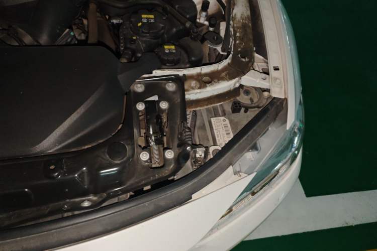 Used BMW 3 Series 2019 320Li Fashion Model Engine Bay Left