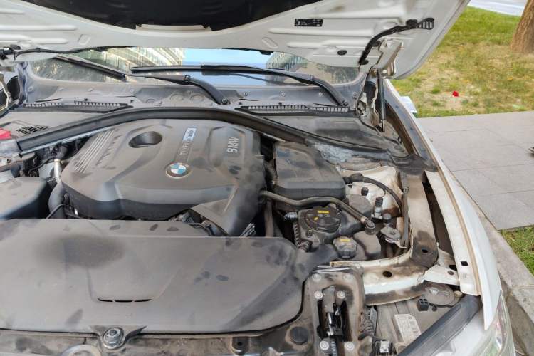 Used BMW 3 Series 2019 320Li Fashion Model Engine Bay Left