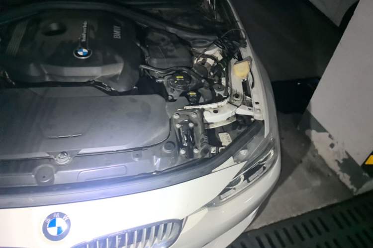 Used BMW 3 Series 2019 320Li Fashion Model Engine Bay Left