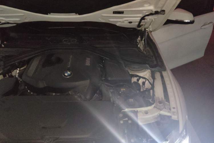 Used BMW 3 Series 2019 320i M Sport Package Engine Bay Left
