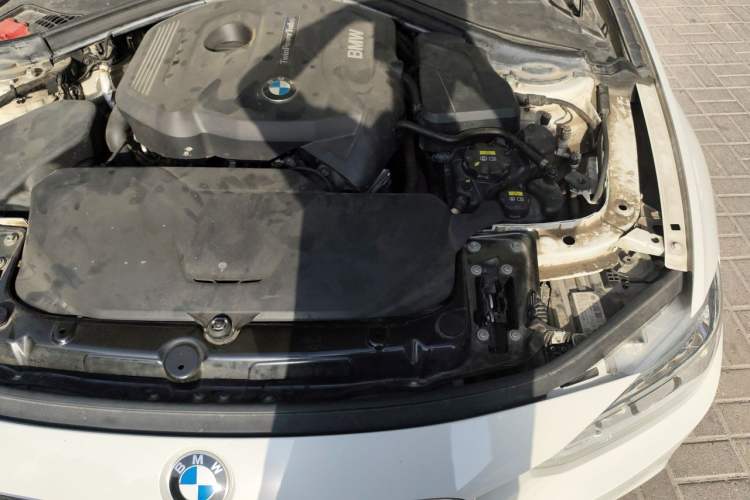 Used BMW 3 Series 2019 320Li M Luxury Package Engine Bay Left