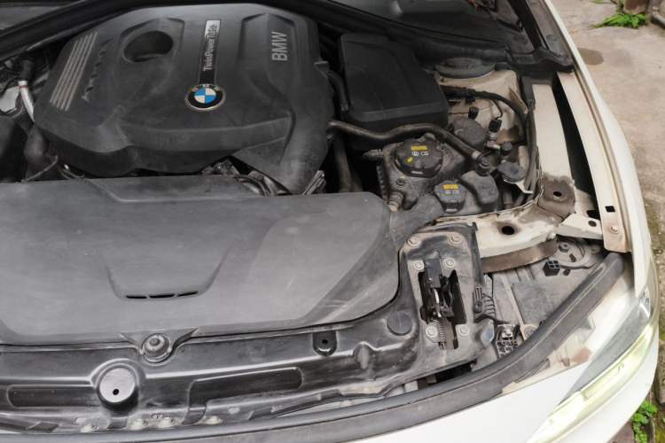 Used BMW 3 Series 2019 320Li M Sport Package Engine Bay Left