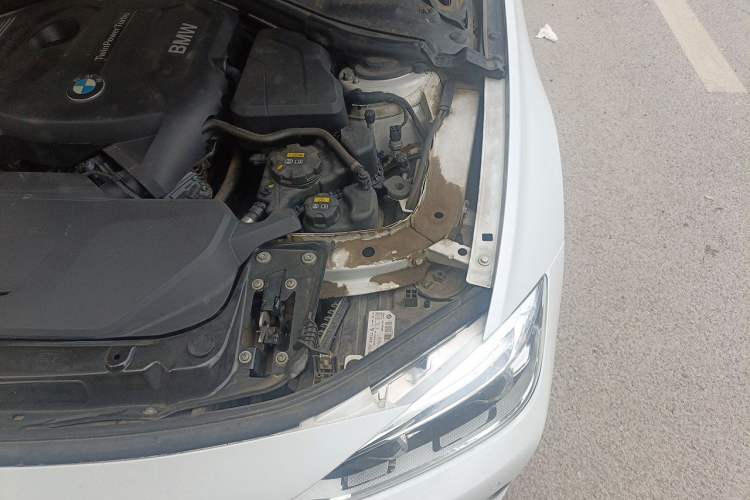 Used BMW 3 Series 2019 320Li xDrive Fashion Model Engine Bay Left