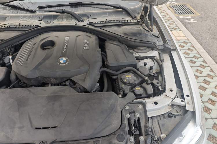 Used BMW 3 Series 2019 320Li Fashion Model Engine Bay Left