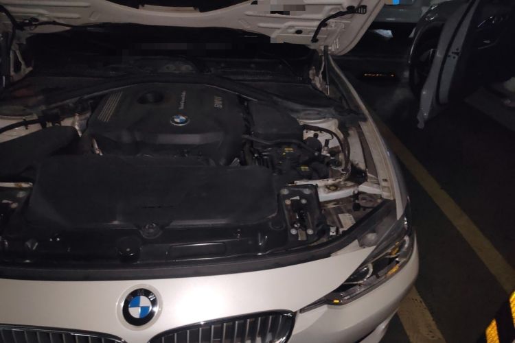 Used BMW 3 Series 2019 320Li Fashion Model Engine Bay Left