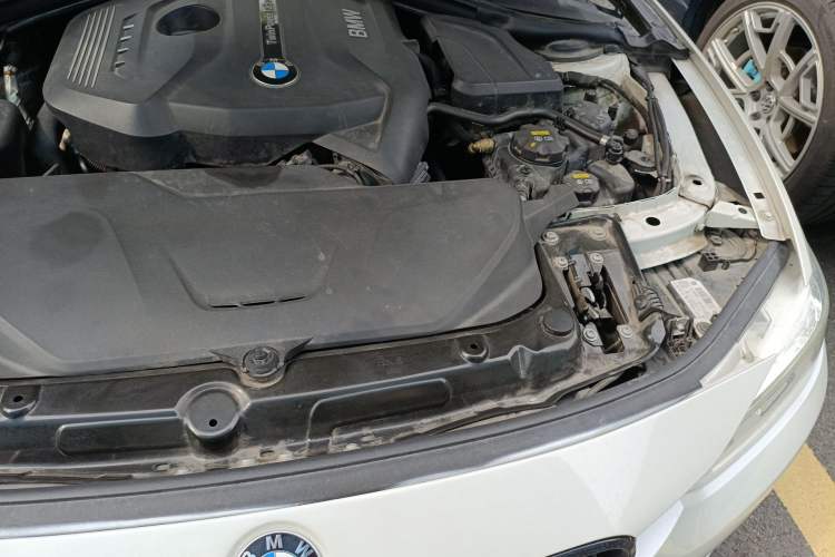 Used BMW 3 Series 2019 320Li Fashion Model Engine Bay Left