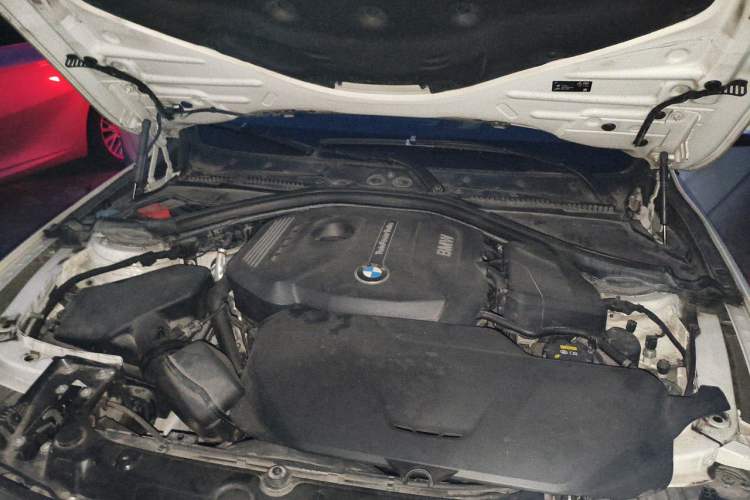 Used BMW 3 Series 2019 320Li Fashion Model Engine Bay Left