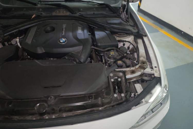 Used BMW 3 Series 2019 320Li Fashion Model Engine Bay Left