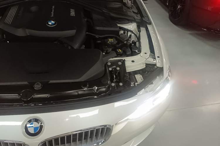 Used BMW 3 Series 2019 320Li Fashion Model Engine Bay Left