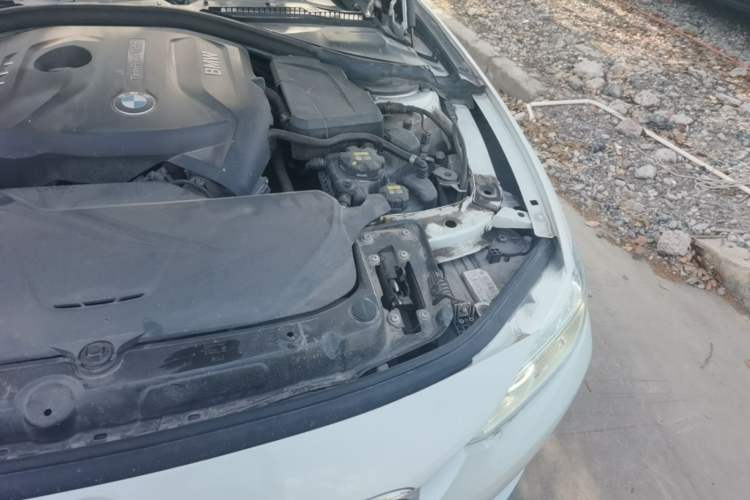 Used BMW 3 Series 2019 320Li Fashion Model Engine Bay Left