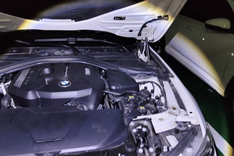 Used BMW 3 Series 2019 320Li M Sport Night Edition Engine Bay Left