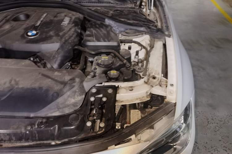 Used BMW 3 Series 2019 320Li xDrive Fashion Model Engine Bay Left