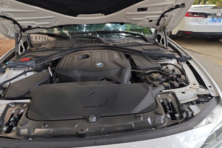 Used BMW 3 Series 2019 320Li Fashion Model Engine Bay Left