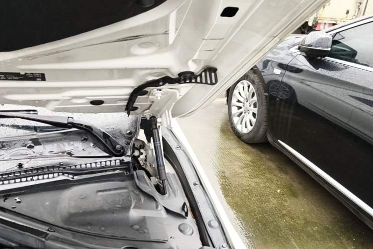 Used BMW 3 Series 2019 320Li Fashion Model Engine Bay Left