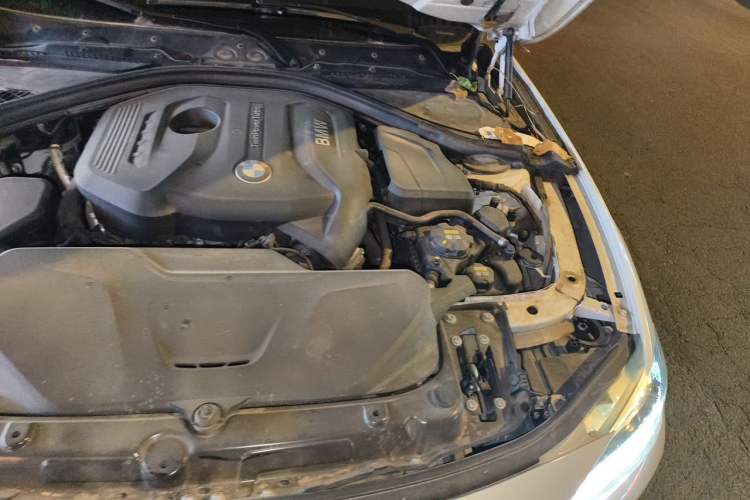 Used BMW 3 Series 2019 320Li xDrive Fashion Model Engine Bay Left