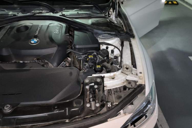 Used BMW 3 Series 2019 320Li M Sport Package Engine Bay Left