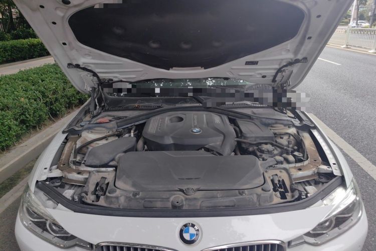 Used BMW 3 Series 2019 320Li Fashion Model Engine Bay