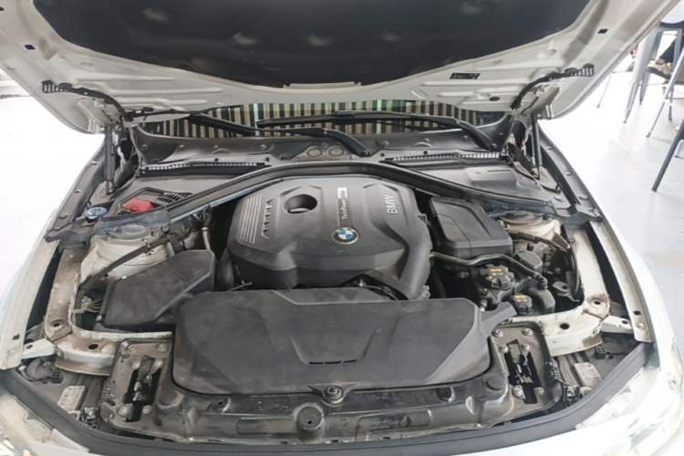 Used BMW 3 Series 2019 320Li Fashion Model Engine Bay