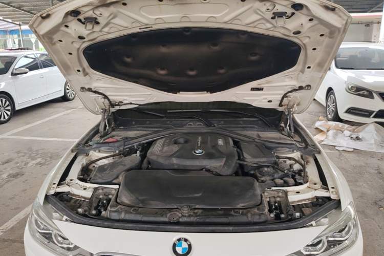 Used BMW 3 Series 2019 320Li M Sport Package Engine Bay
