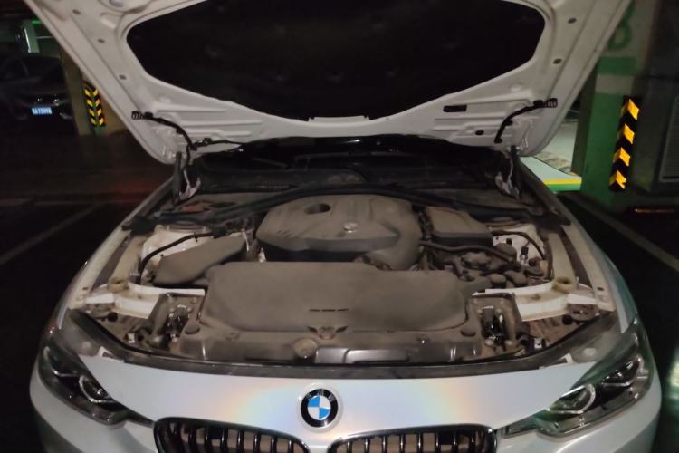 Used BMW 3 Series 2019 320i M Sport Package Engine Bay