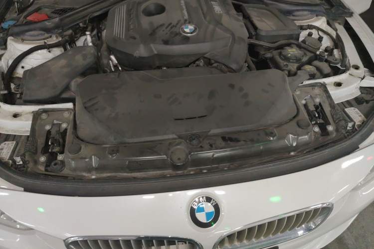 Used BMW 3 Series 2019 320Li xDrive Fashion Model Engine Bay