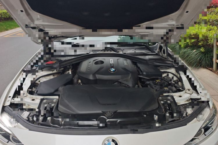 Used BMW 3 Series 2019 320Li Fashion Model Engine Bay