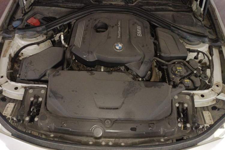 Used BMW 3 Series 2019 320Li Fashion Model Engine Bay