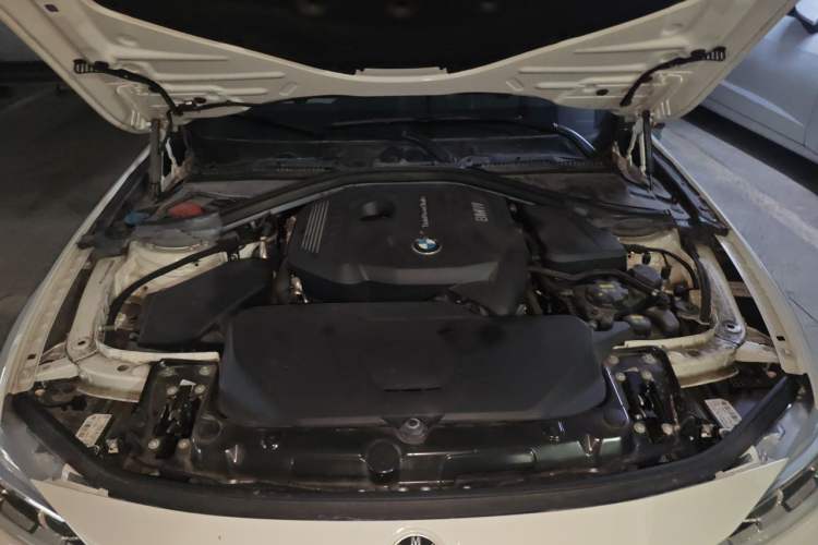 Used BMW 3 Series 2019 320Li M Sport Package Engine Bay