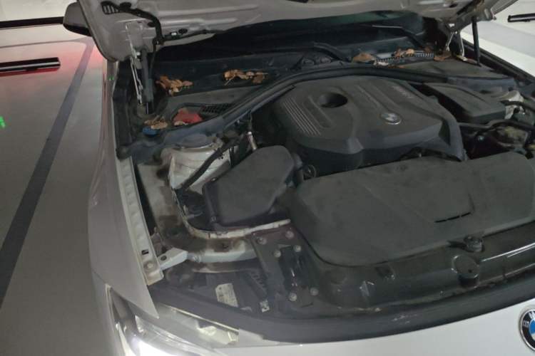 Used BMW 3 Series 2019 320Li Fashion Model Engine Bay Right