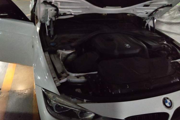 Used BMW 3 Series 2019 320Li M Sport Package Engine Bay Right