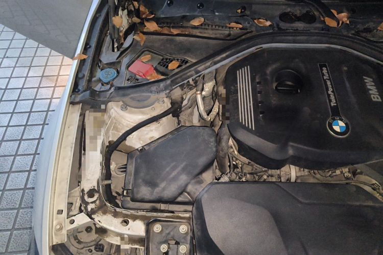 Used BMW 3 Series 2019 320Li Fashion Model Engine Bay Right