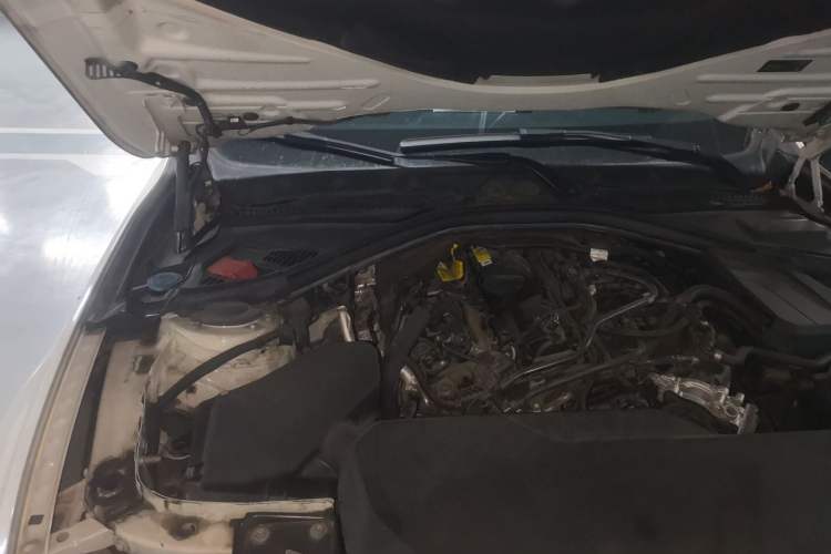 Used BMW 3 Series 2019 320Li Fashion Model Engine Bay Right