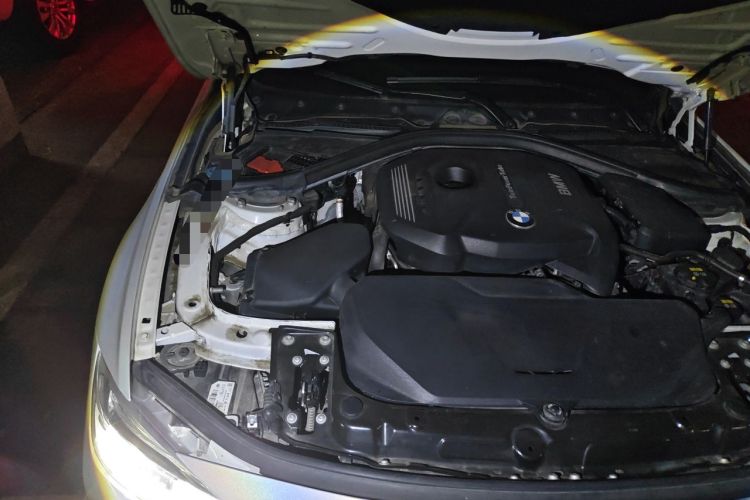 Used BMW 3 Series 2019 320Li Fashion Model Engine Bay Right