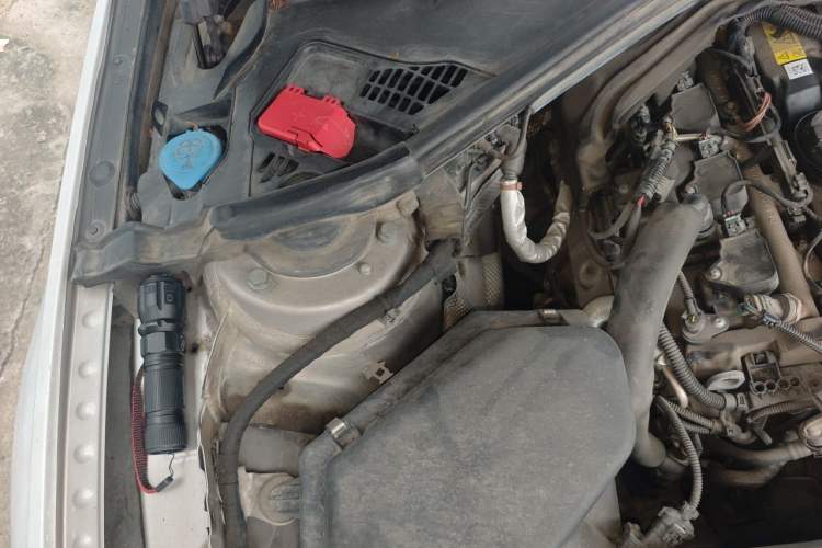 Used BMW 3 Series 2019 320Li Fashion Model Engine Bay Right