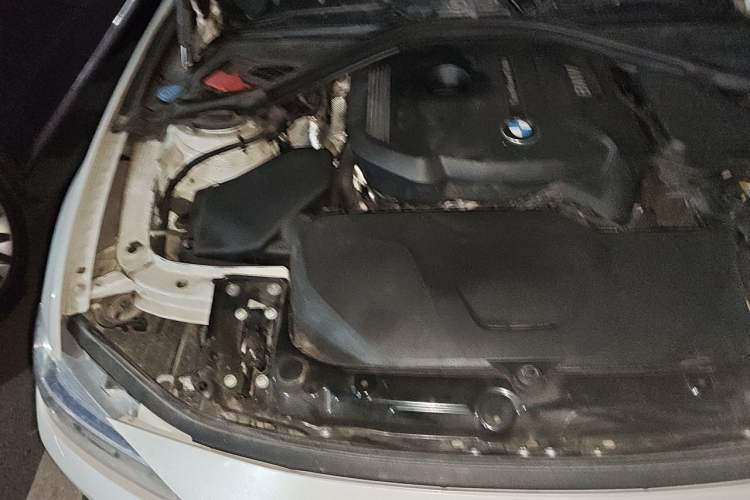 Used BMW 3 Series 2019 320Li Fashion Model Engine Bay Right
