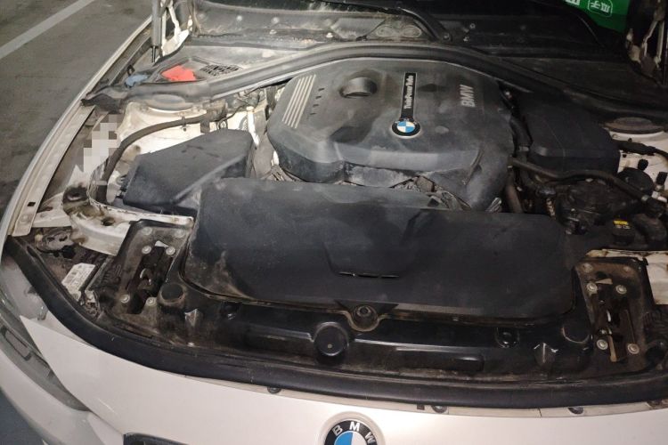 Used BMW 3 Series 2019 320Li Fashion Model Engine Bay Right