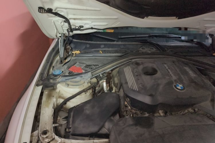 Used BMW 3 Series 2019 320Li M Luxury Package Engine Bay Right