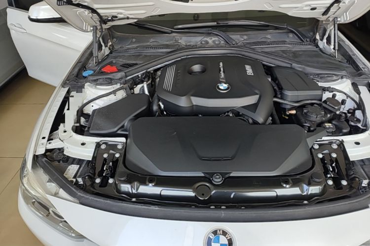Used BMW 3 Series 2019 320Li Fashion Model Engine Bay Right