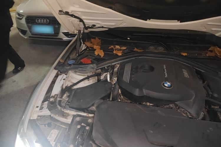 Used BMW 3 Series 2019 320Li Fashion Model Engine Bay Right
