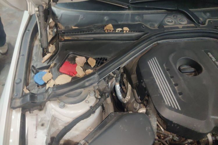 Used BMW 3 Series 2019 320Li M Sport Package Engine Bay Right