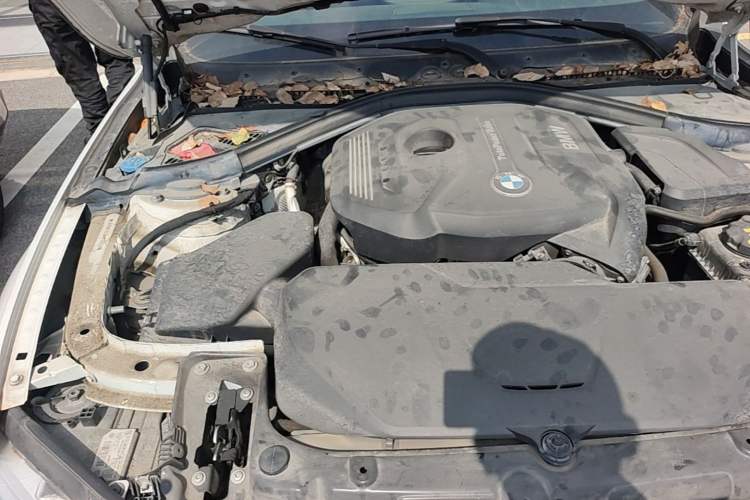 Used BMW 3 Series 2019 320Li M Luxury Package Engine Bay Right