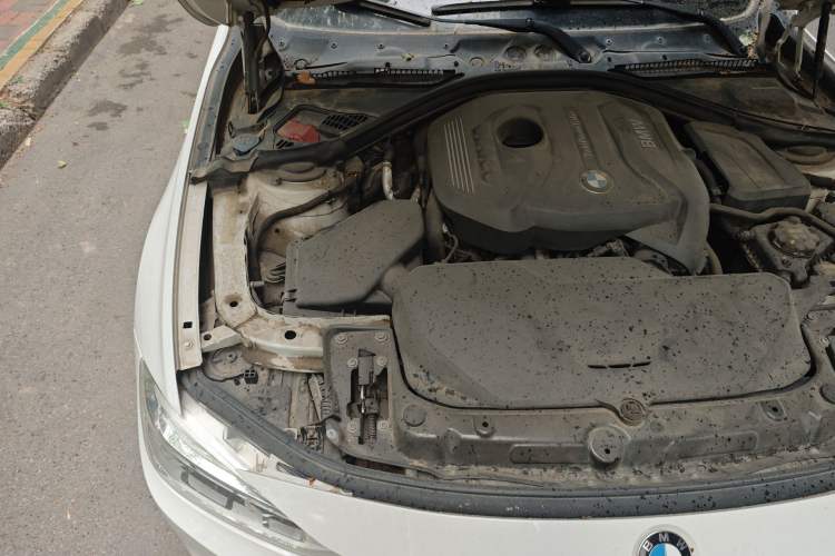Used BMW 3 Series 2019 320Li M Sport Package Engine Bay Right