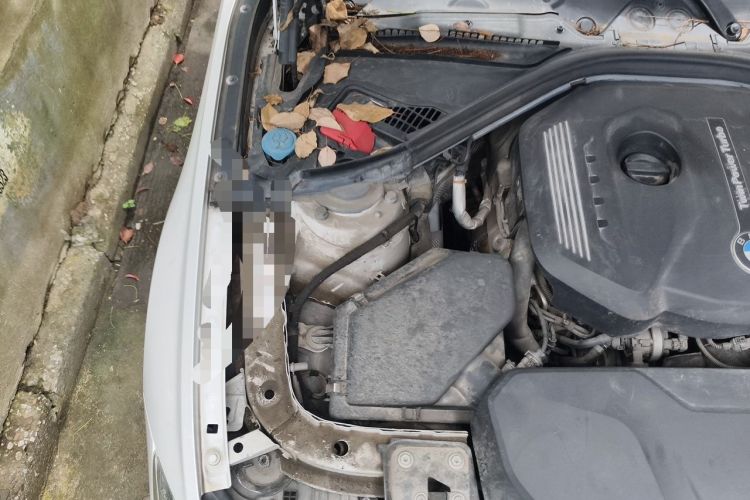 Used BMW 3 Series 2019 320Li Fashion Model Engine Bay Right