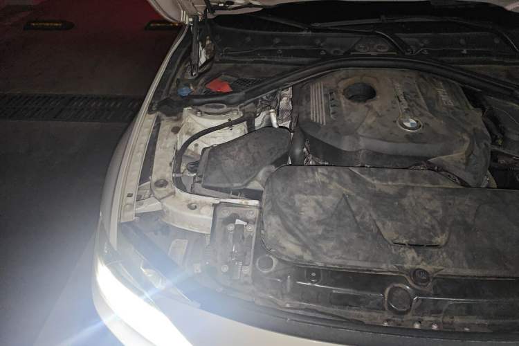 Used BMW 3 Series 2019 320Li M Luxury Package Engine Bay Right