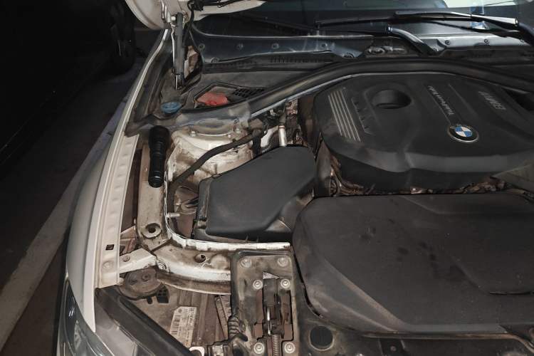 Used BMW 3 Series 2019 320Li M Sport Package Engine Bay Right